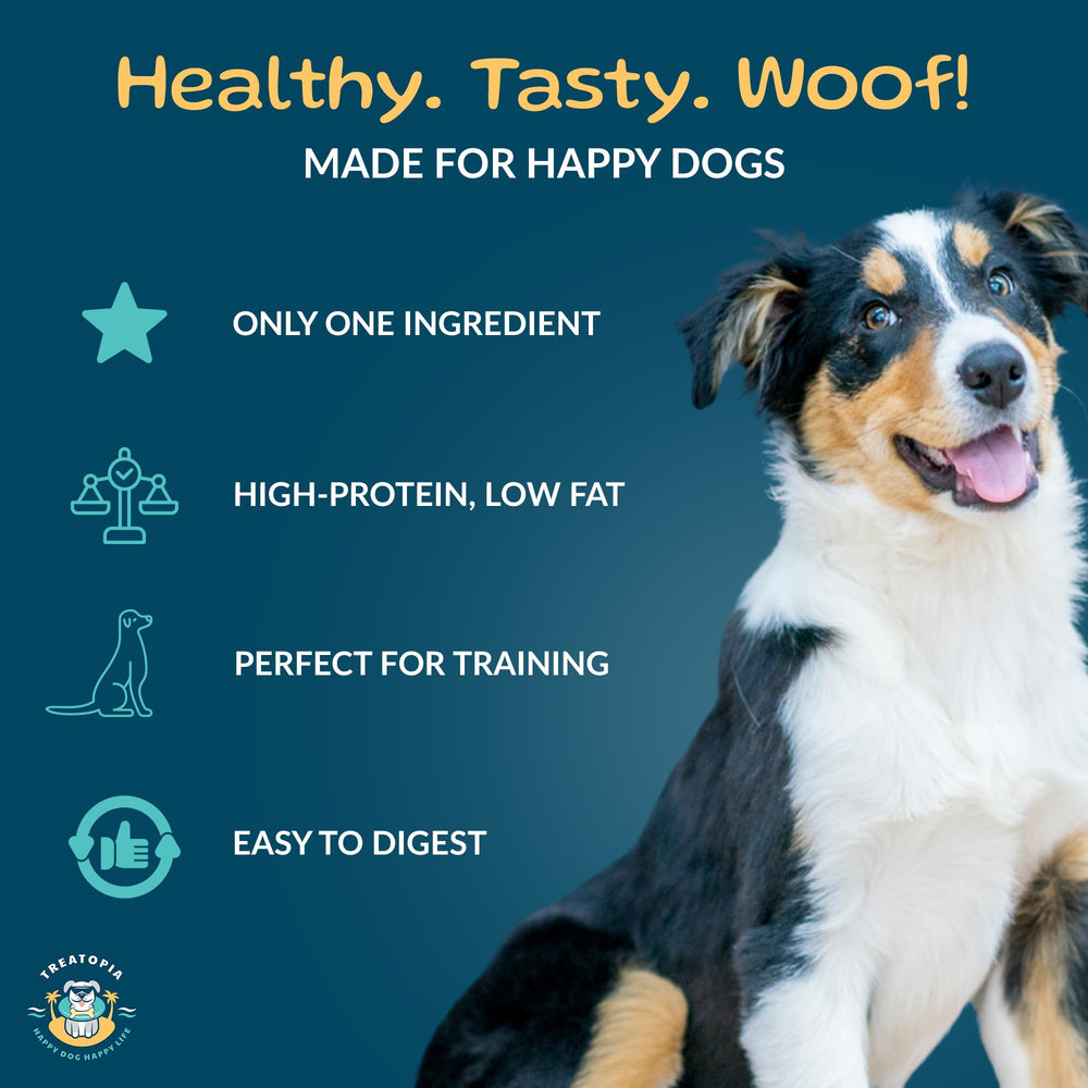 TREATOPIA Beef Lung Nuggies crunchy close-up highlights crispy texture for training