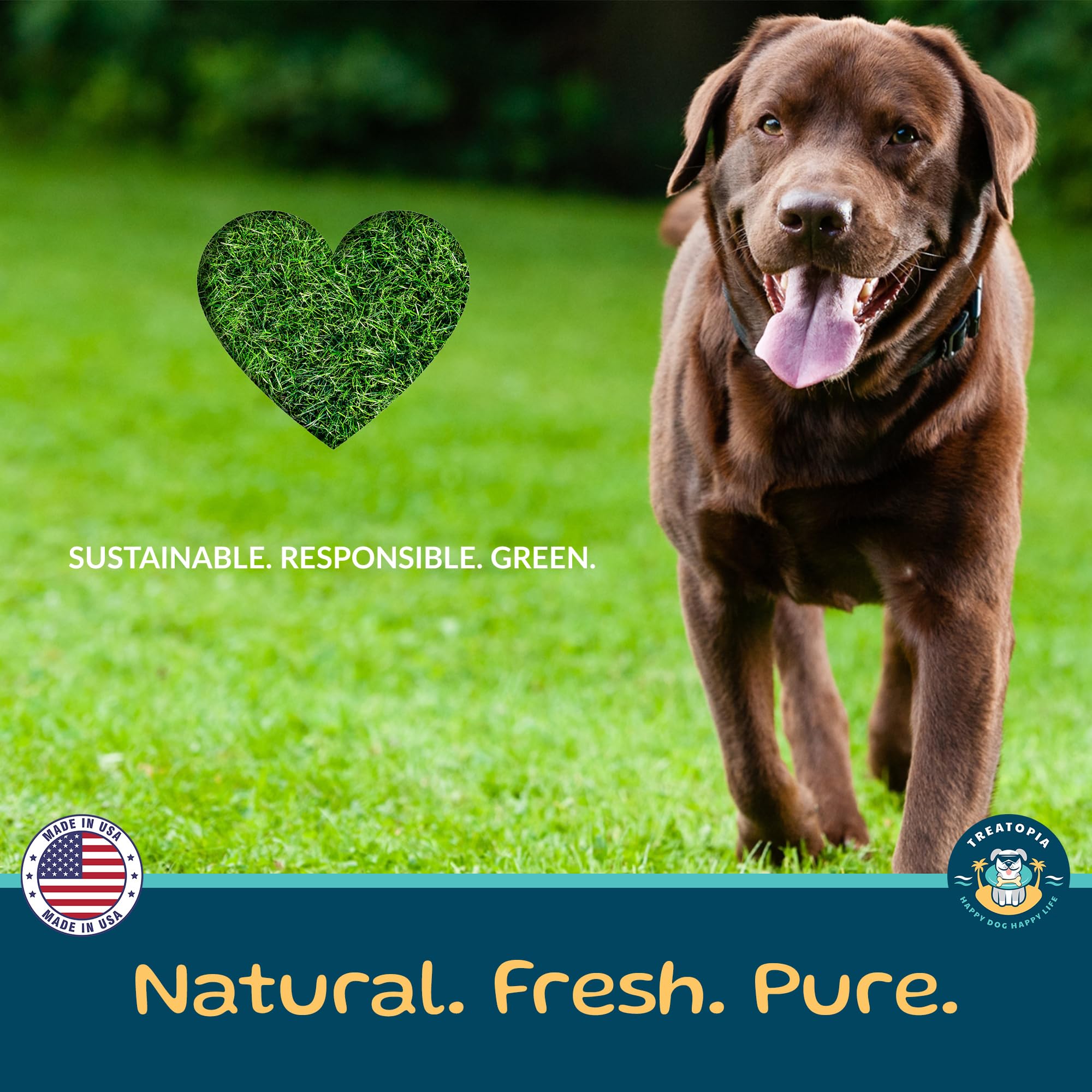 TREATOPIA Beef Lung Nuggies pouch hero image for everyday training