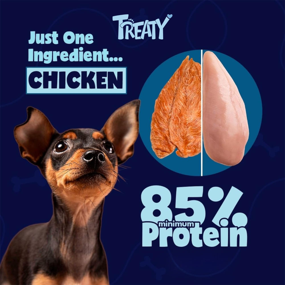 Treaty-dog-treats-soft-pack-on-the-go: portable rewards for busy dog owners.