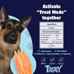 Treaty-dried-chicken-slices-closeup: single-ingredient jerky for picky eaters.