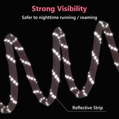 Tresbro dog camping leash 100ft setup provides generous space for outdoor training.
