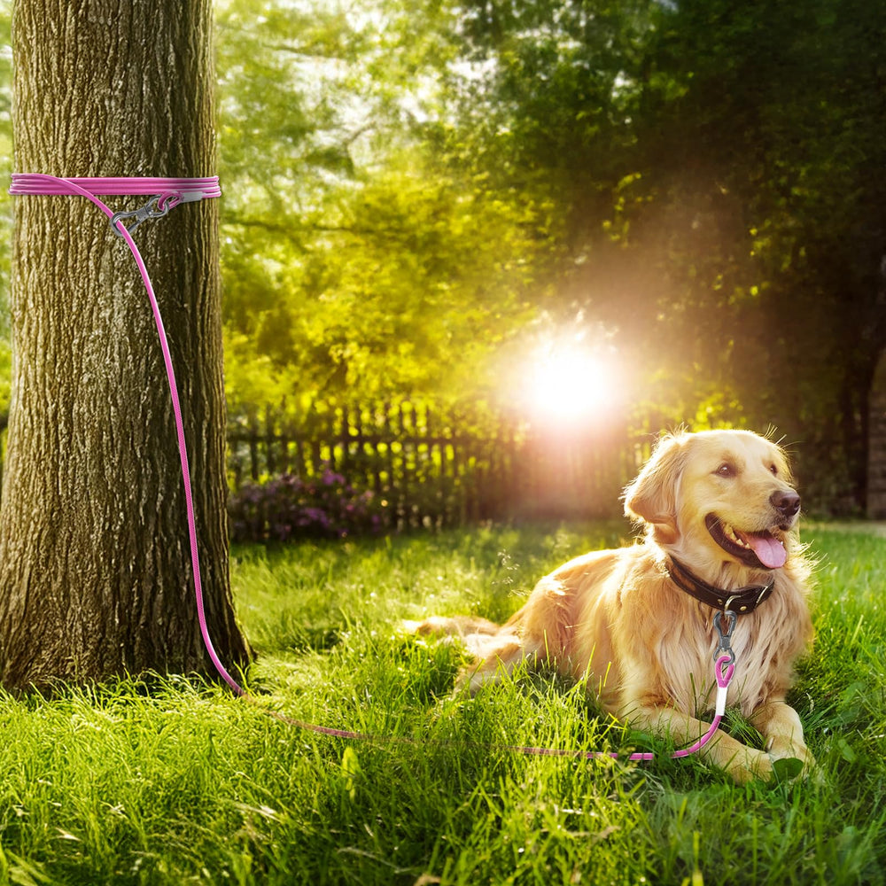 Tresbro heavy-duty dog lead ready for yard, park, or camping.