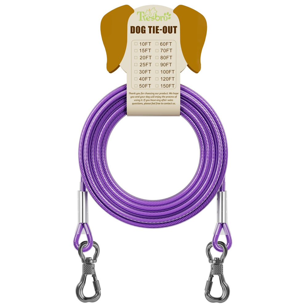 Park or camping scene with Tresbro dog tie-out ensuring freedom and safety.