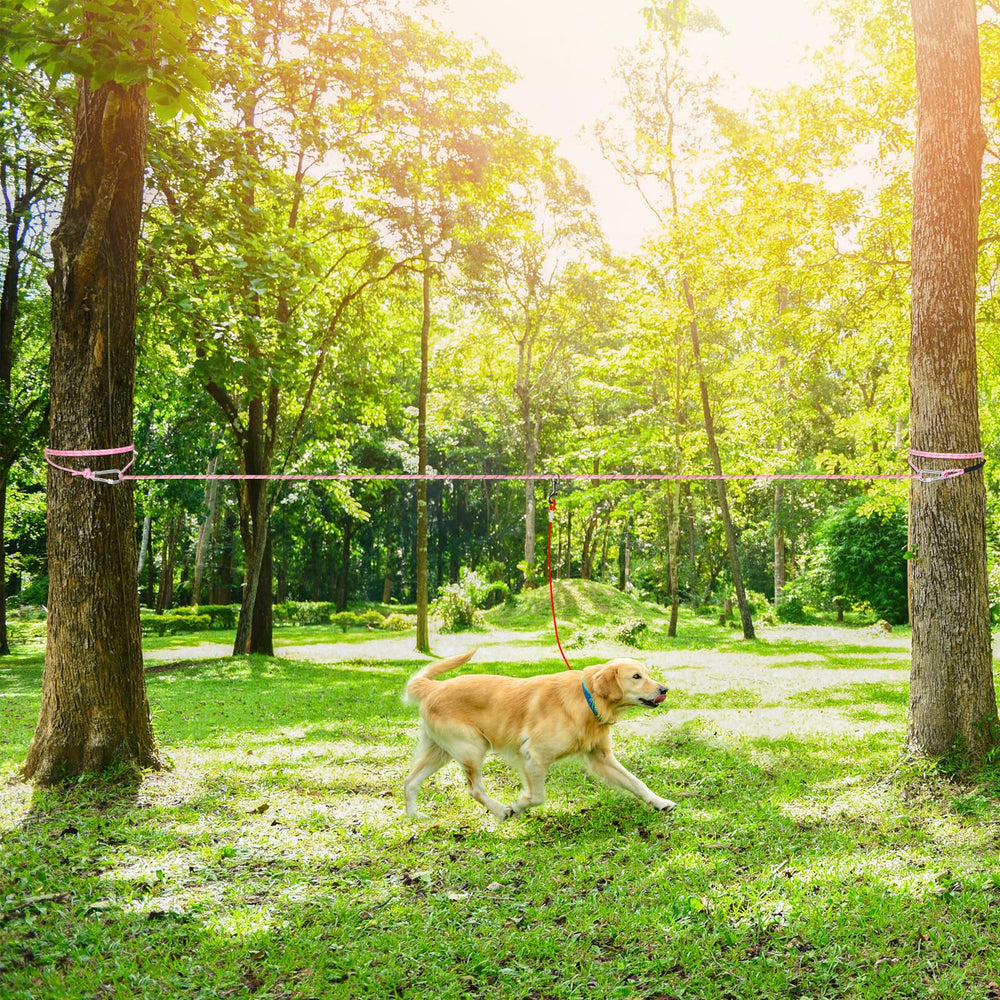 Tresbro reflective rope enhances night safety for dogs and owners.