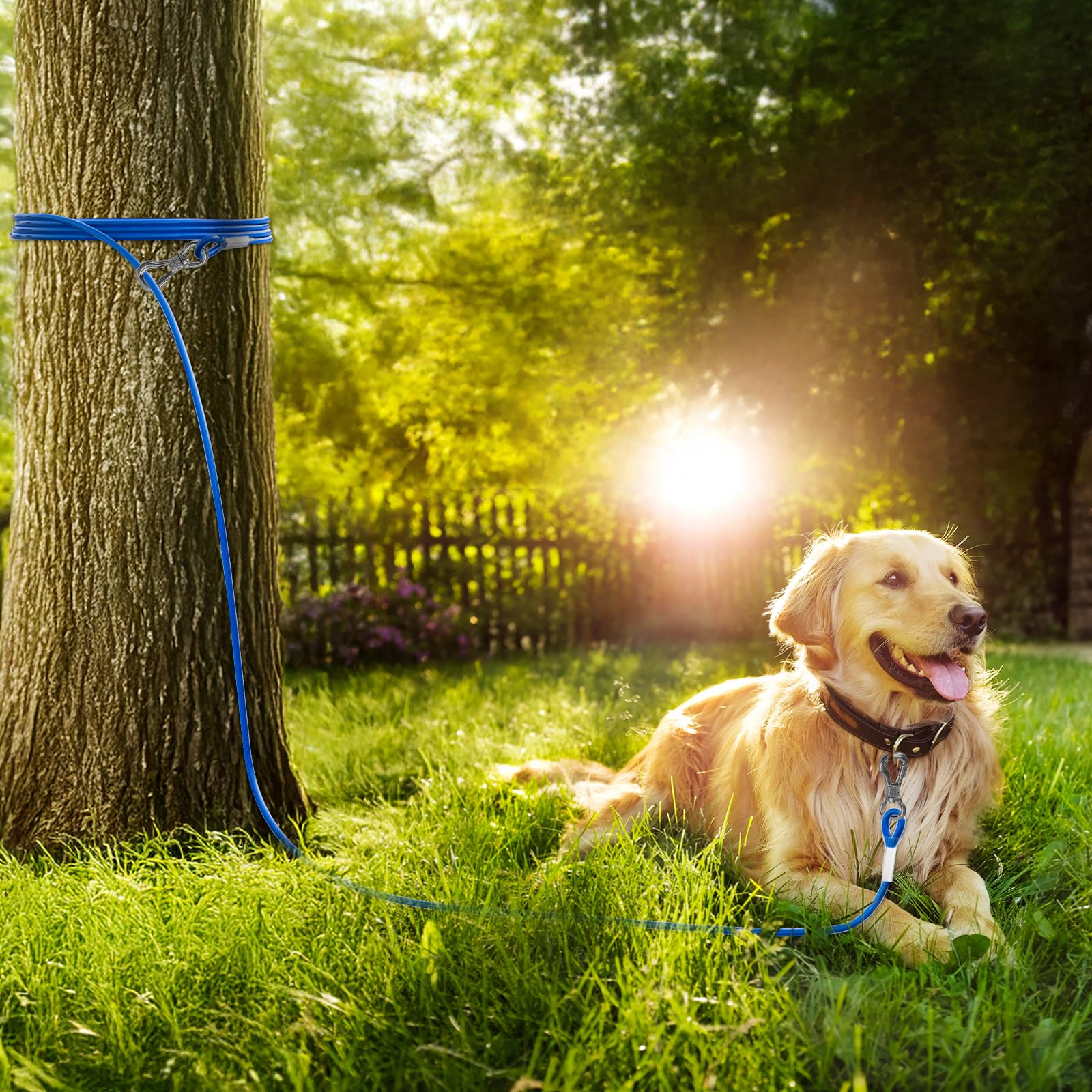 Tresbro strong 5kN tensile strength supports dogs up to 250 pounds safely.