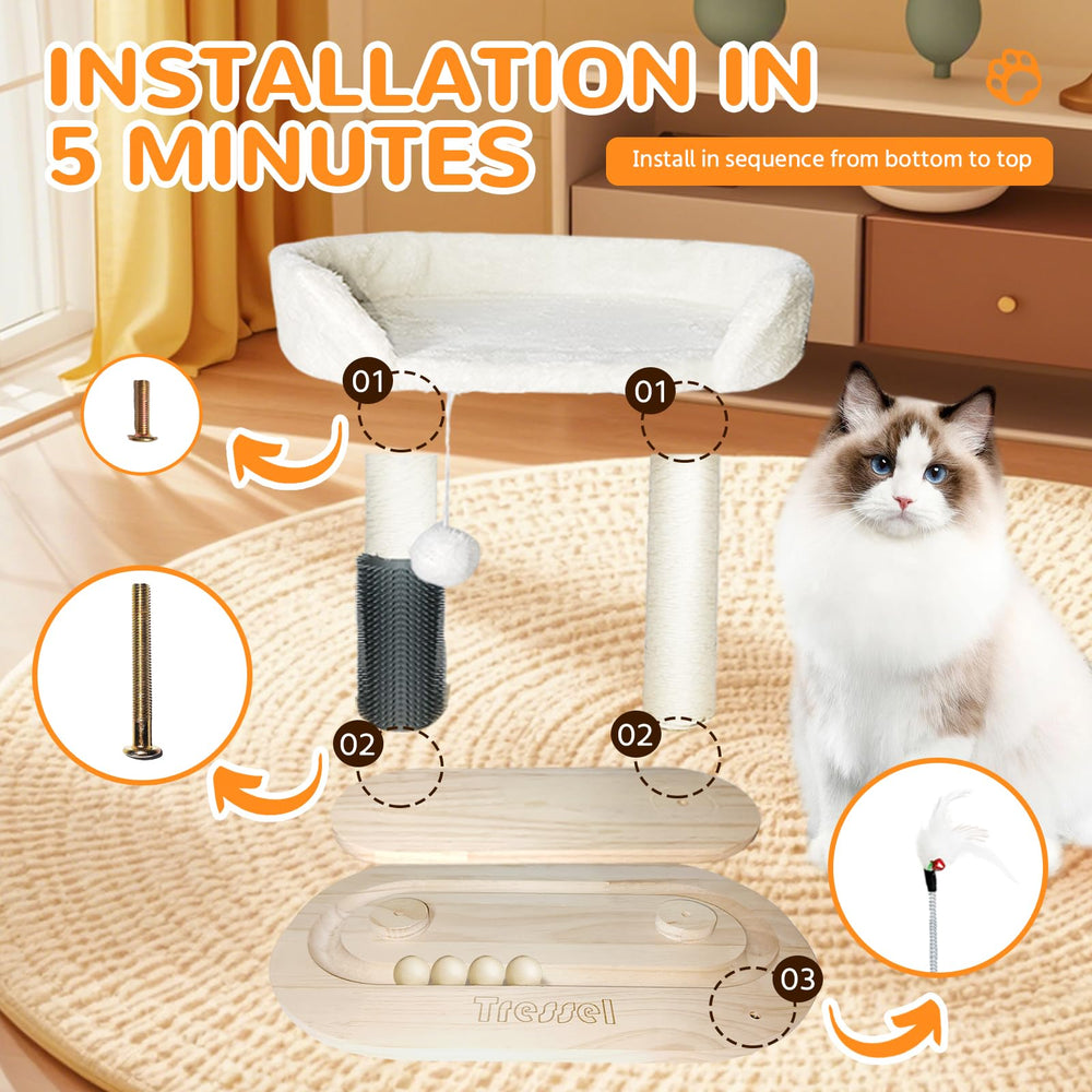 Tressel natural cat ball track offers varied play and exploration.