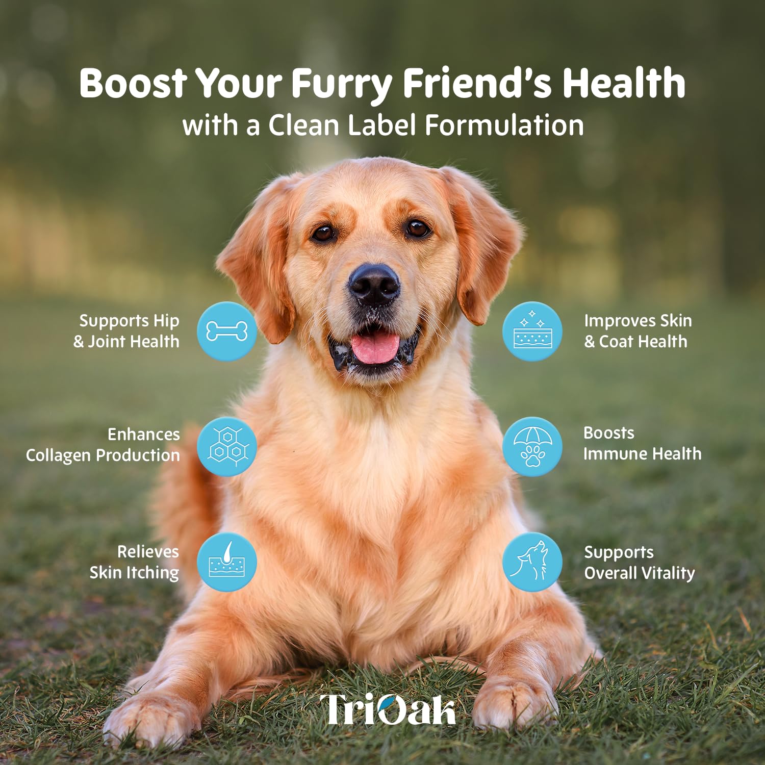 TriOak bottle label hip joint support signals premium collagen for dogs