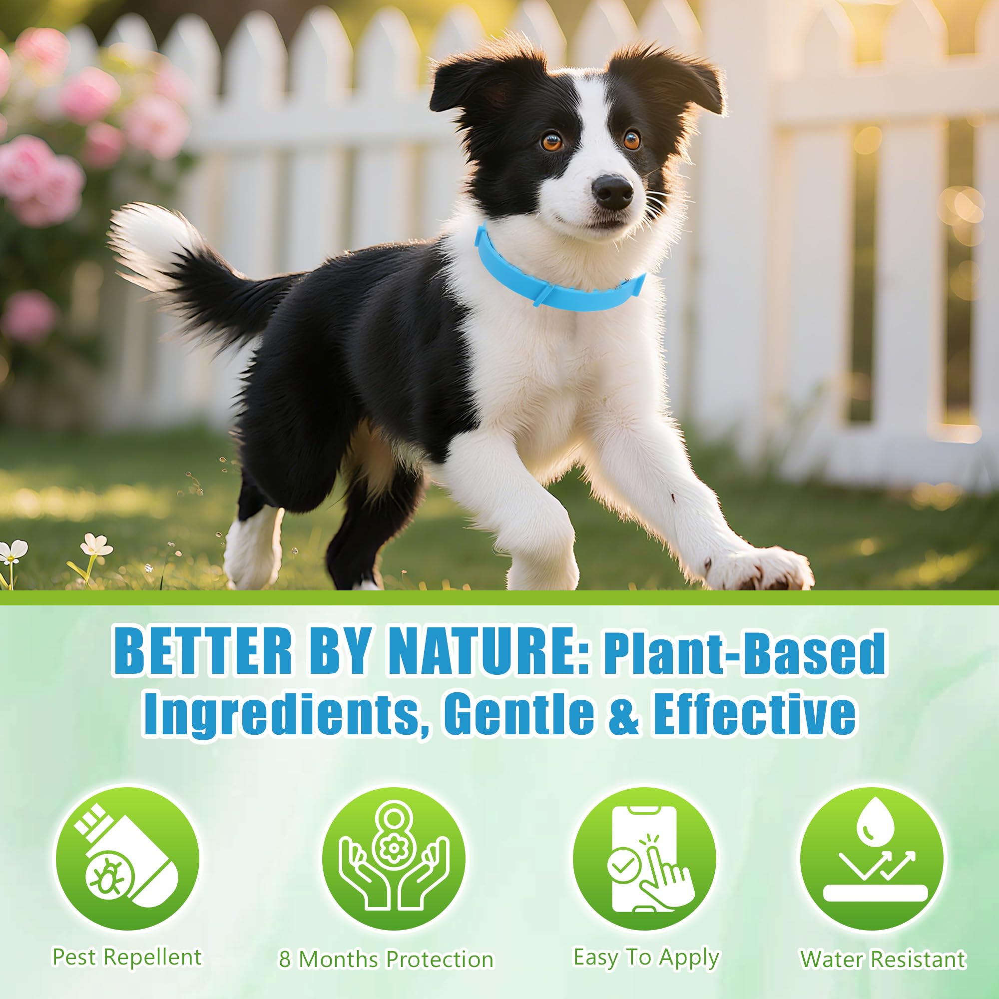 Trihood 2-pack dog collars in-use for convenient multi-pet households.