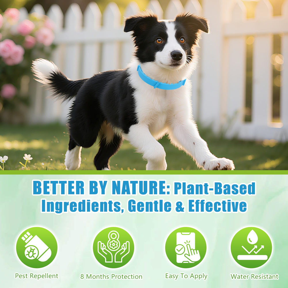Trihood 2-pack dog collars in-use for convenient multi-pet households.