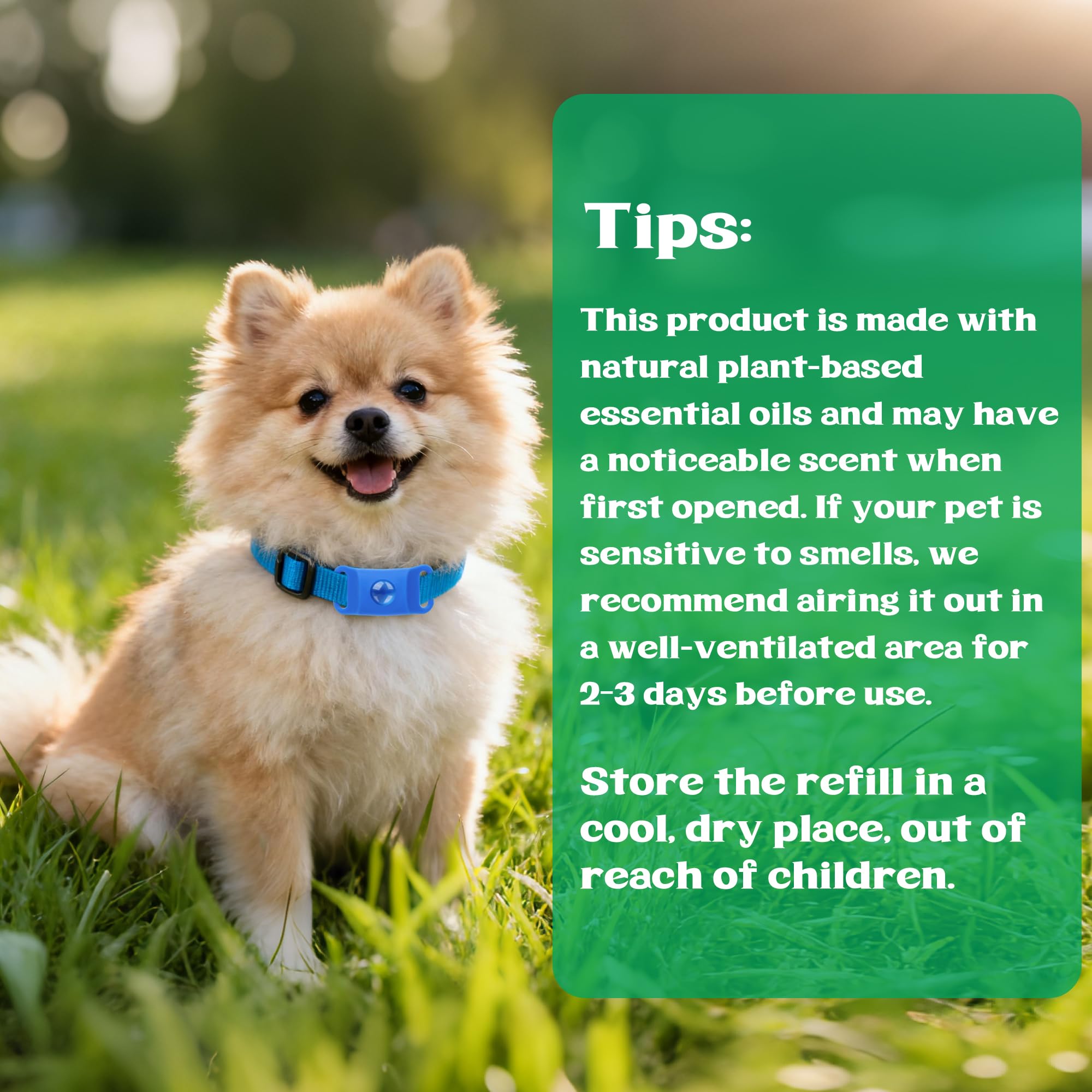 Trihood active pet use scene ideal for daily walks and hiking