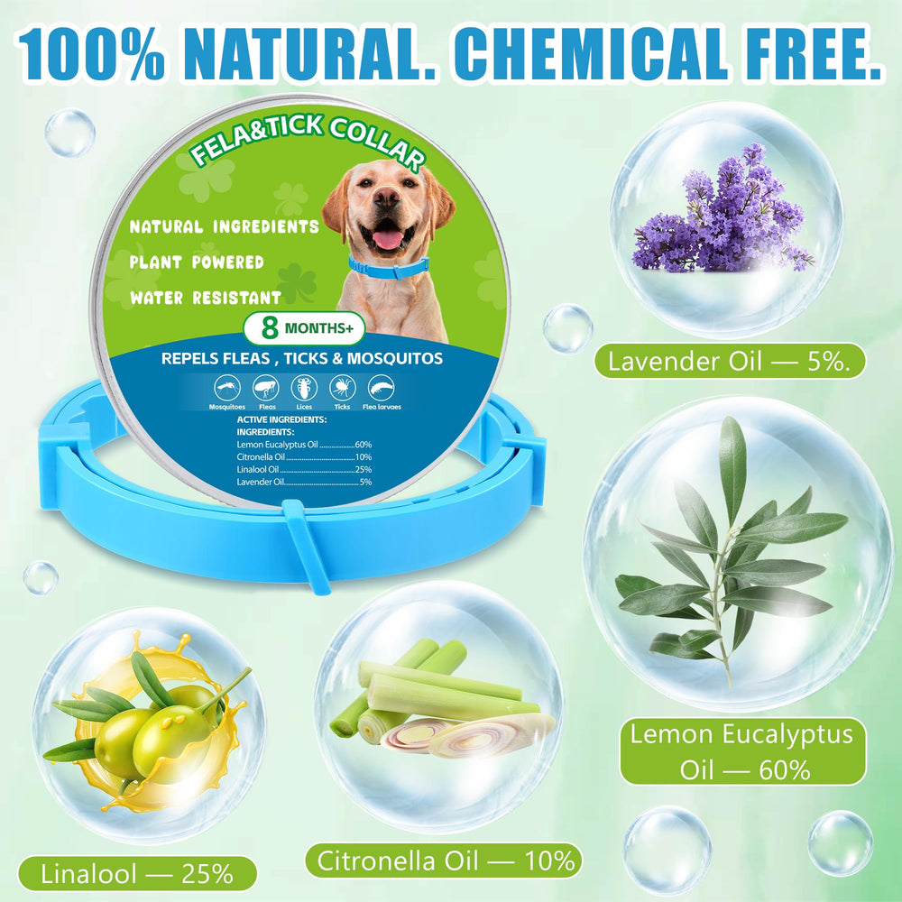 Trihood adjustable dog collar closeup blue shows customizable fit for all breeds.