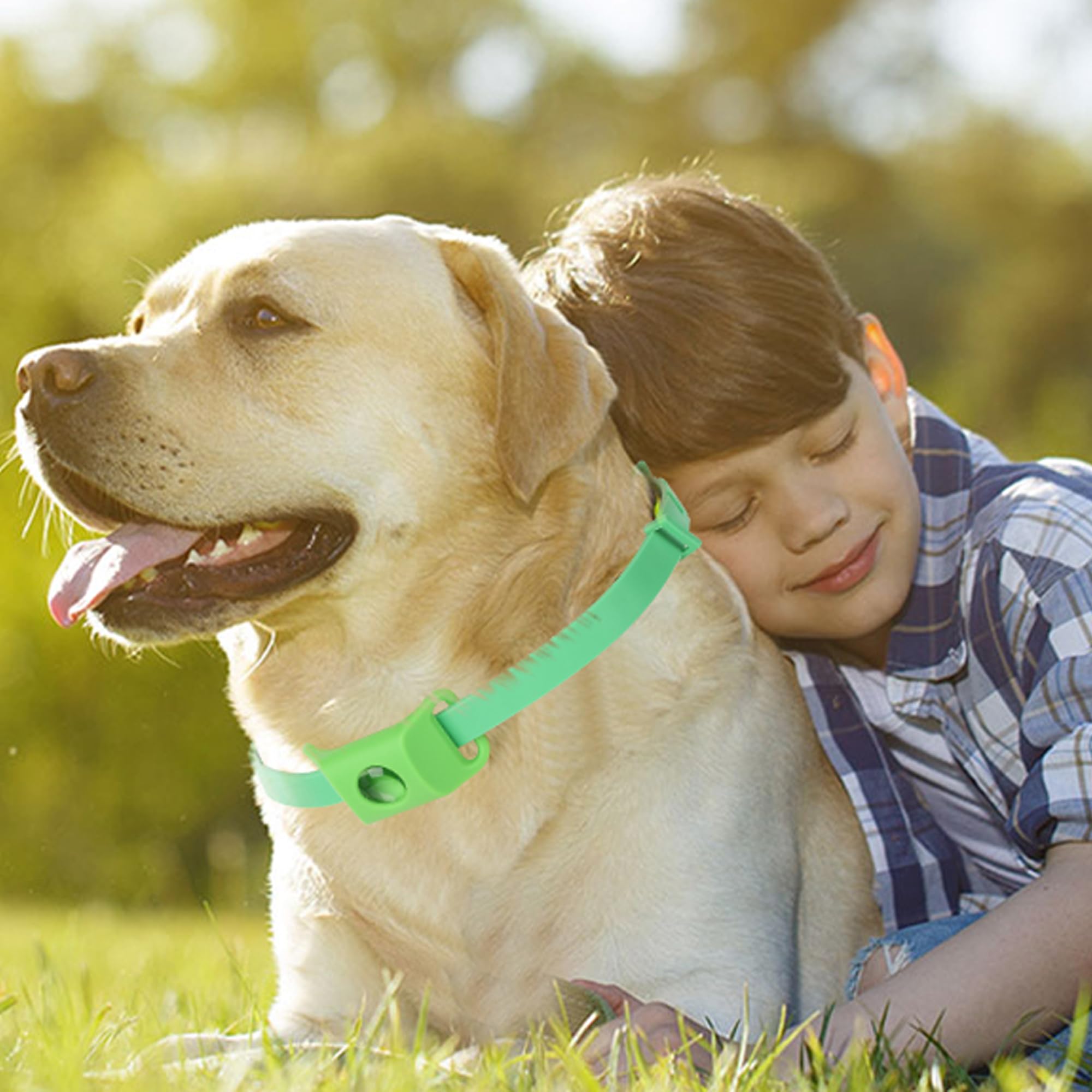 Trihood adjustable-fit collar pendant shown on a dog collar for versatile sizing.