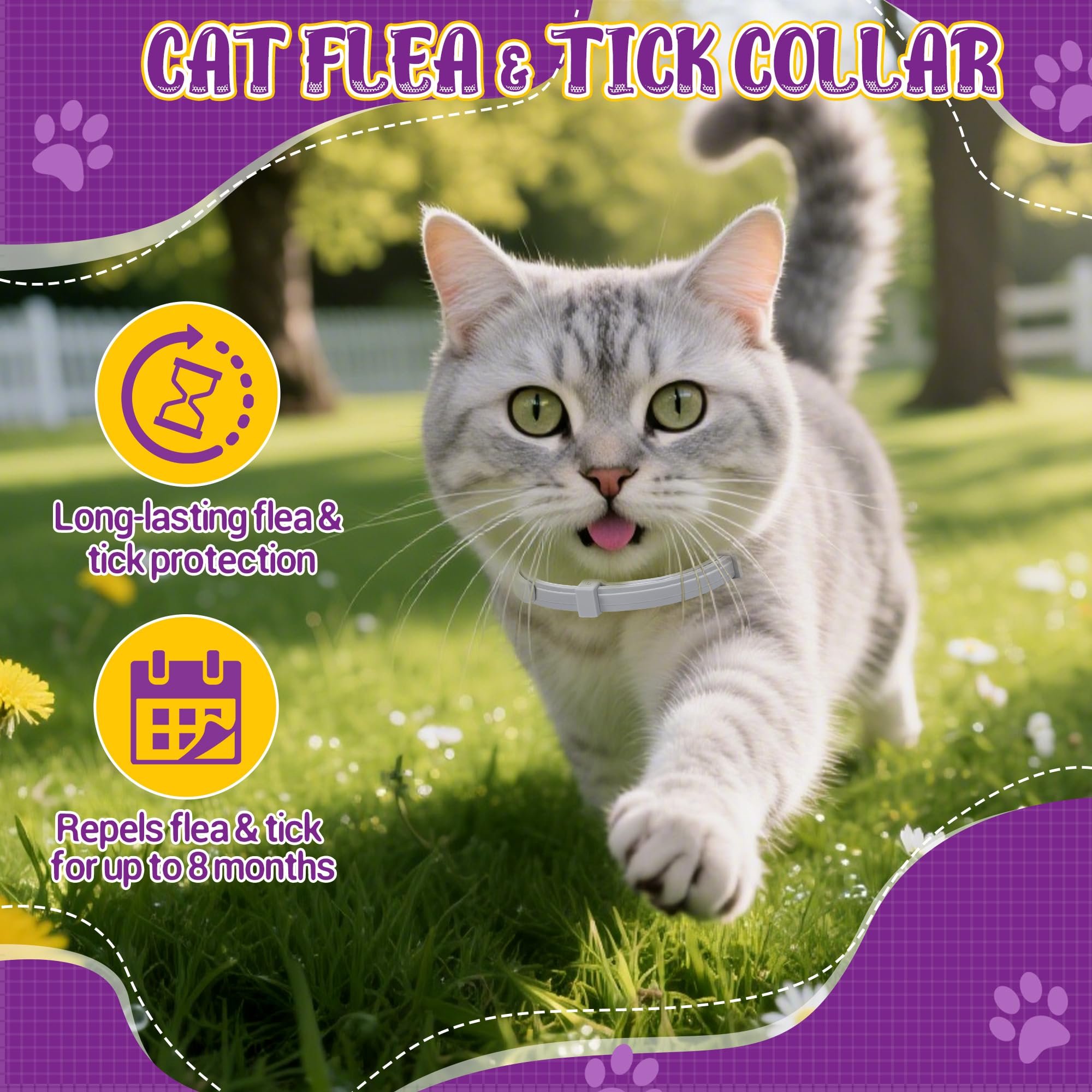 Trihood cat wearing collar in daily setting demonstrating comfortable wear.