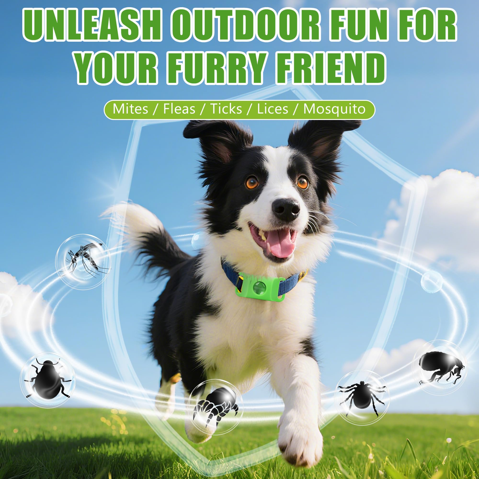 Trihood dog tag on-collar use showcases simple, secure attachment