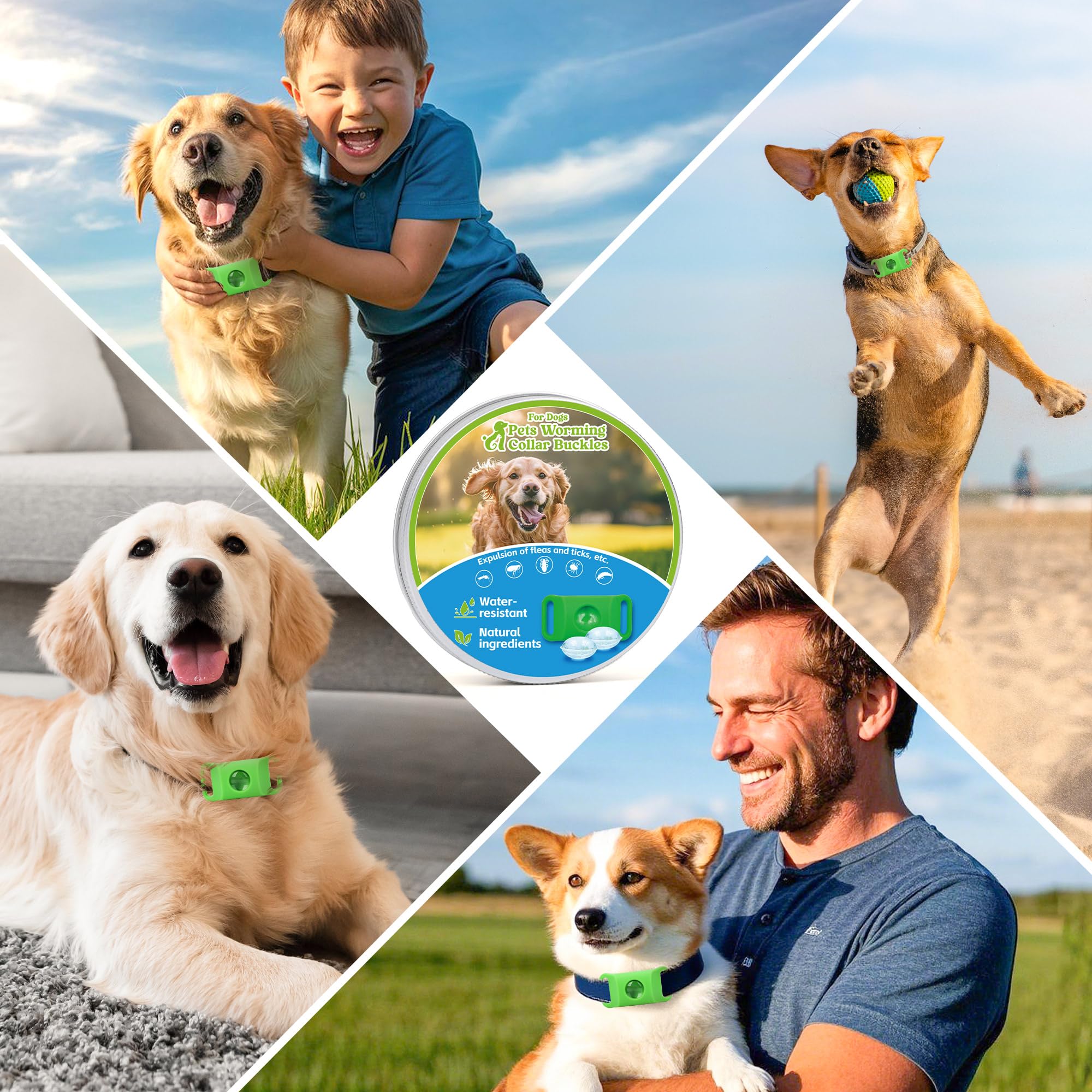 Trihood travel-friendly dog tag is ready for adventures beyond the park