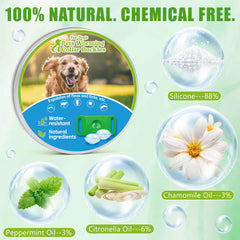 Trihood dog tag with two refills included for continuous protection