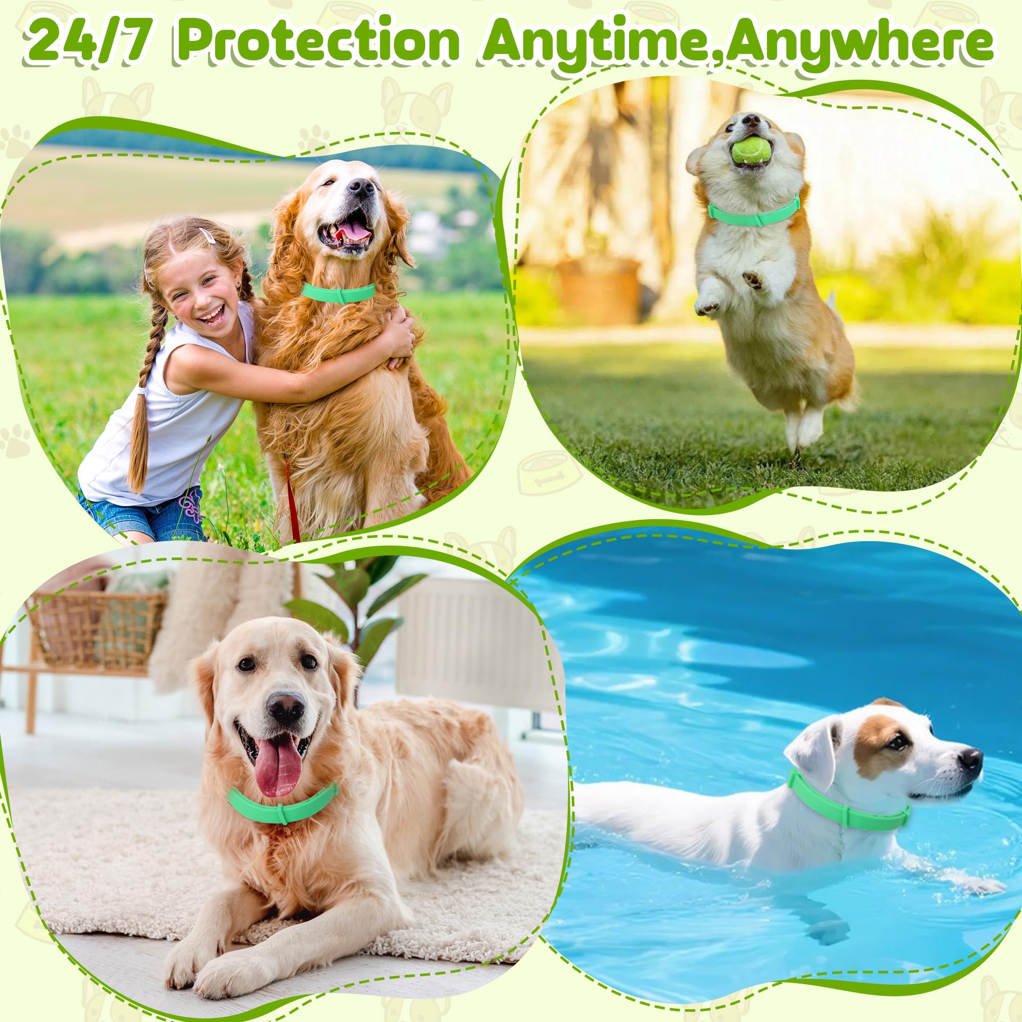 Trihood dog on a walk outdoors with natural protection.