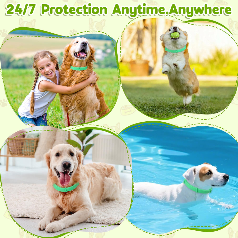 Trihood dog on a walk outdoors with natural protection.