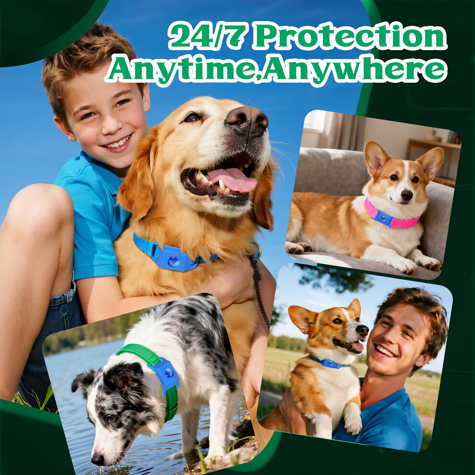 Trihood durable pet tag built to withstand active dogs in all weather