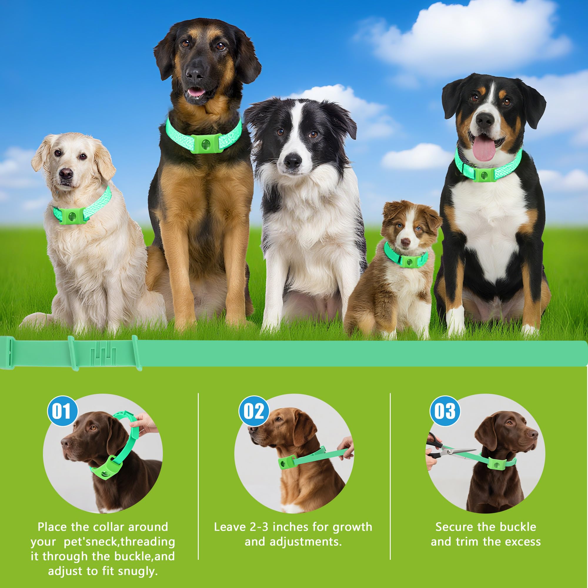 Trihood easy attachment to existing collars for fast setup during outings.
