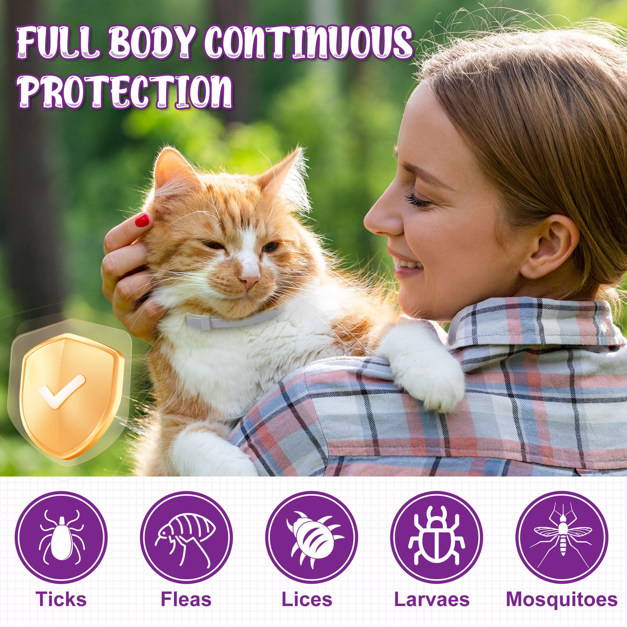 Trihood flea collar waterproof design shown during rainy play.