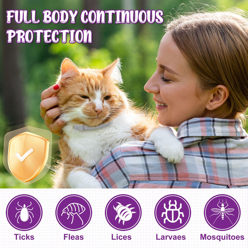 Trihood flea collar waterproof design shown during rainy play.
