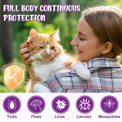Trihood flea collar waterproof design shown during rainy play.