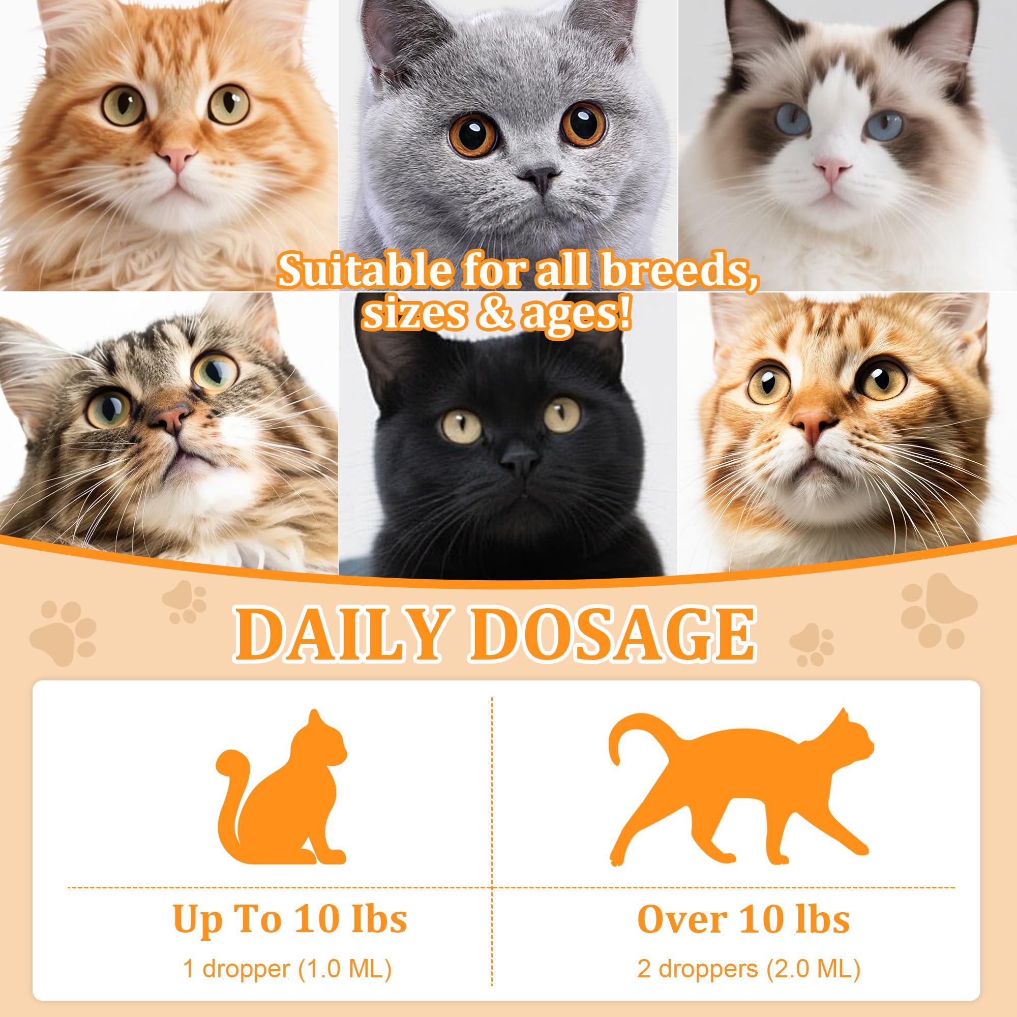 Trihood L-Lysine drops on cat food support eye and nose comfort