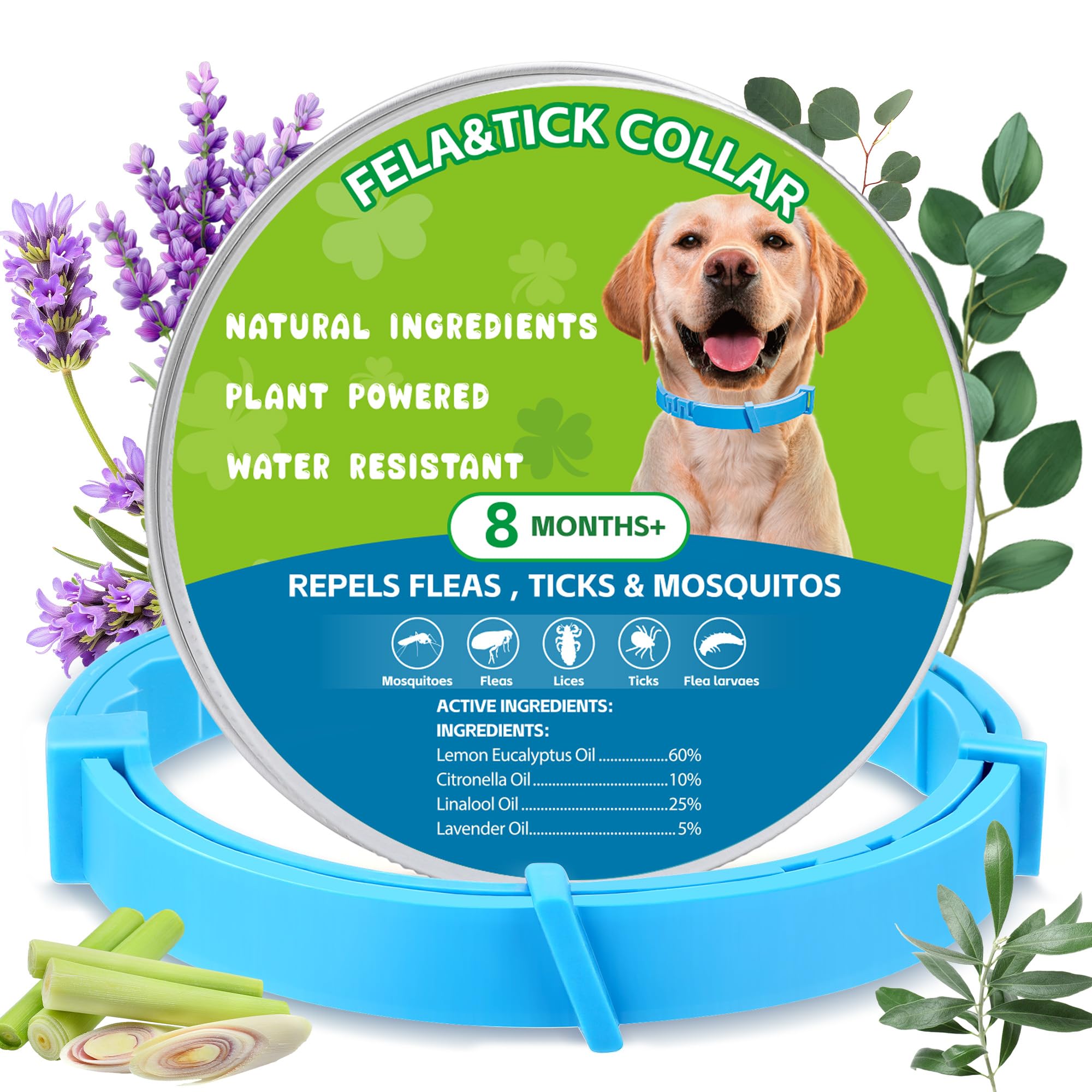 Trihood natural flea-tick collar blue-pack on dog, ready for outdoor walks with protection.