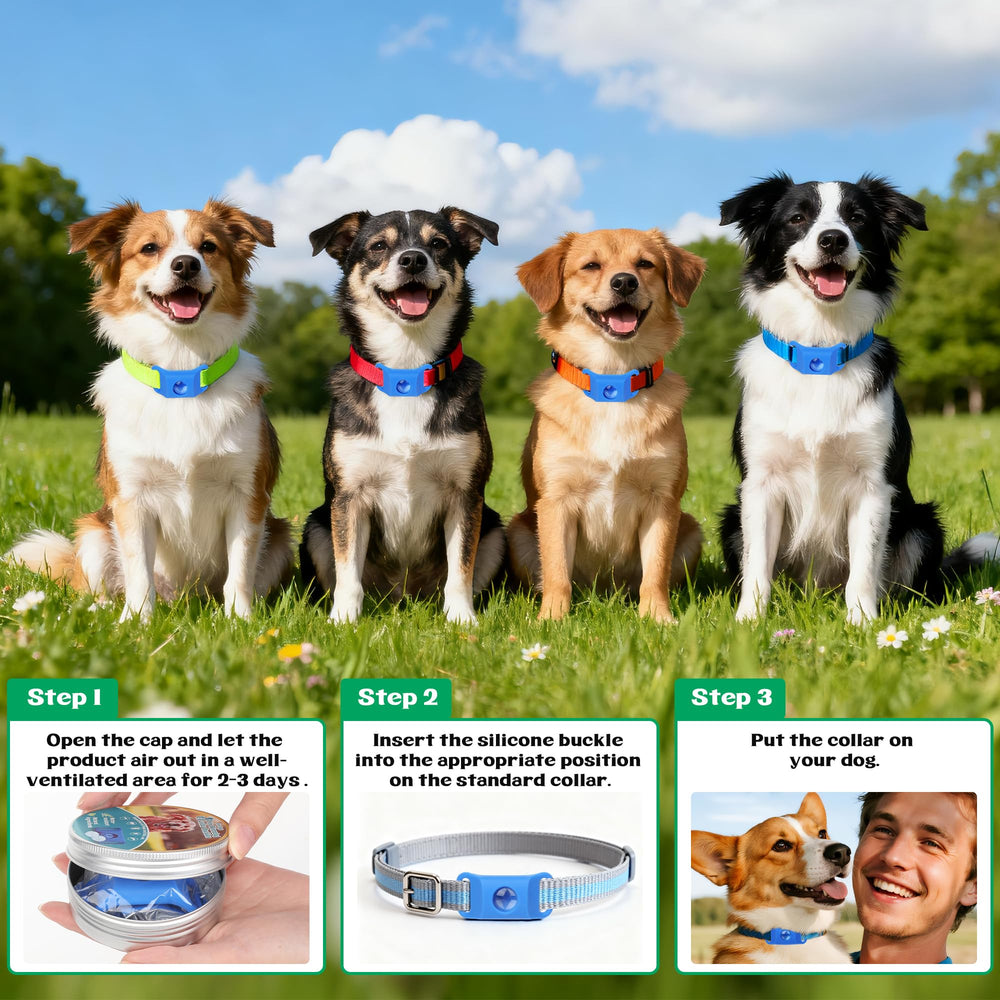 Trihood packaged tag with simple first-use guidance