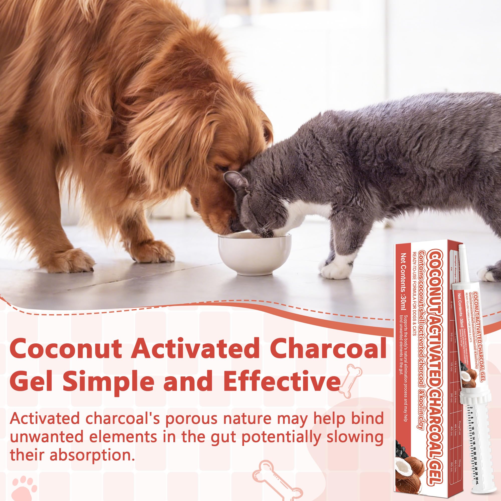 Trihood paste administered to dog for potential toxin absorption and digestive comfort.