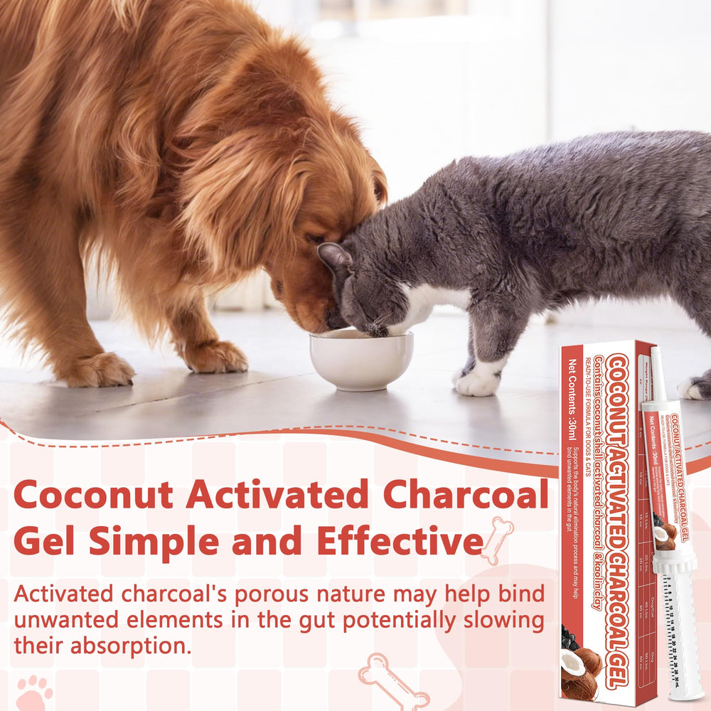 Trihood paste administered to dog for potential toxin absorption and digestive comfort.