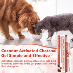 Trihood paste administered to dog for potential toxin absorption and digestive comfort.