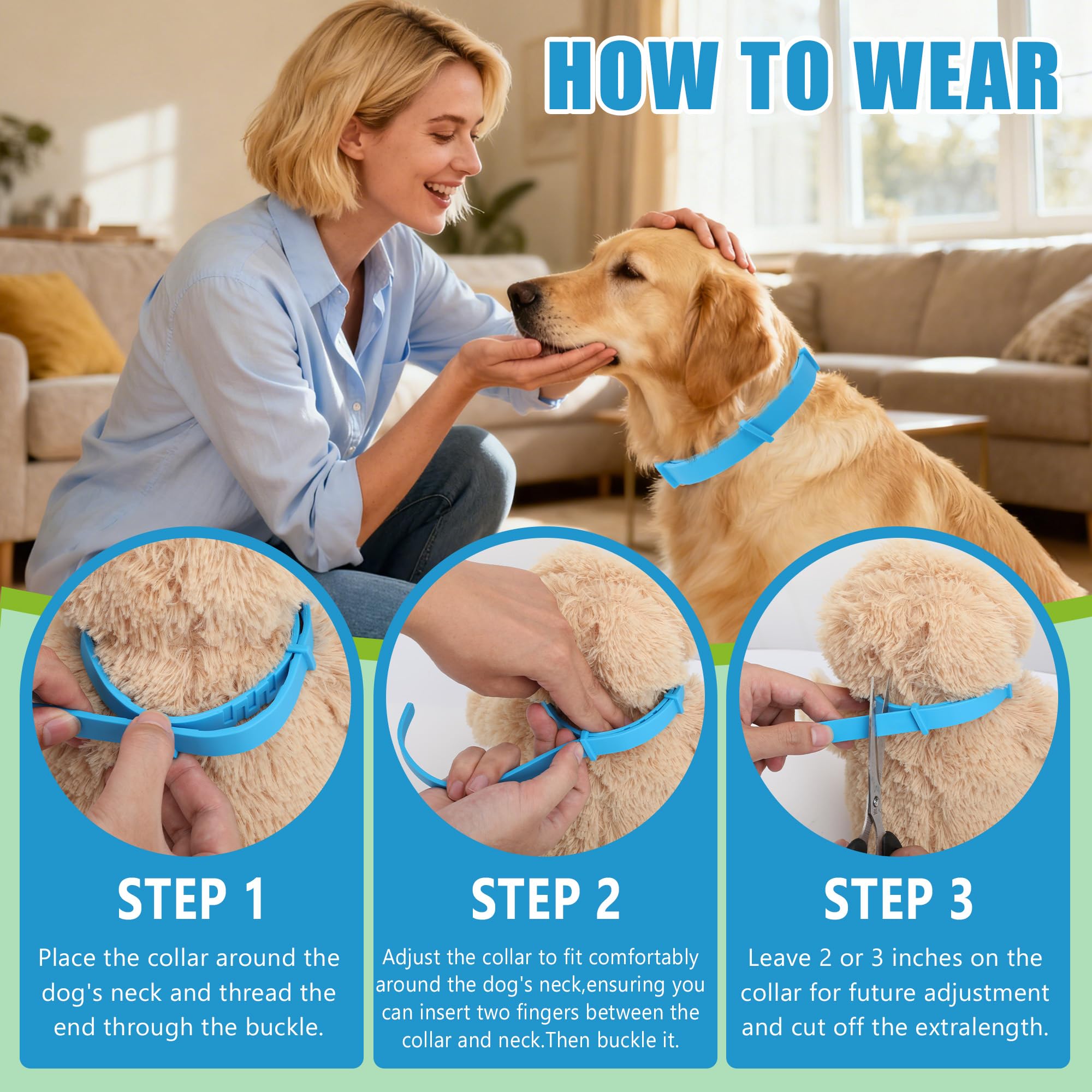 Trihood safe non-toxic dog collar ensures pet comfort during daily outings.