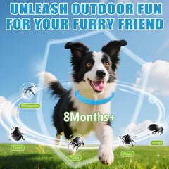 Trihood waterproof dog collar in use during wet walks for lasting protection.
