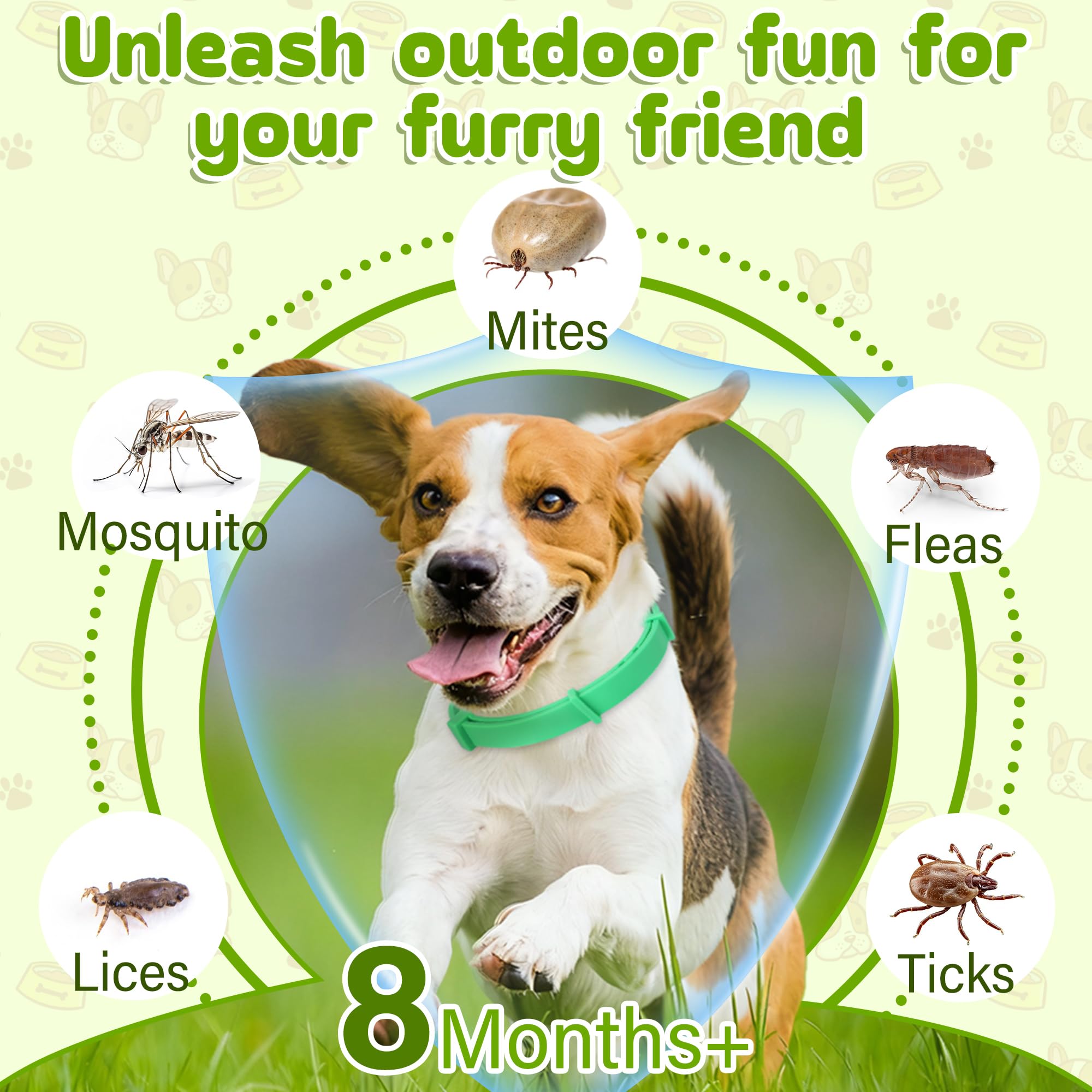Trihood waterproof durable collar ready for outdoor adventures.