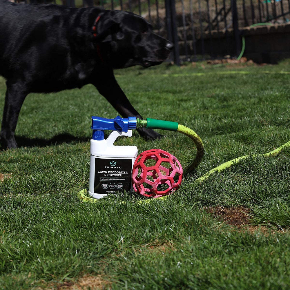 TriNova outdoor deodorizer near kennel setup demonstrates convenient weekly maintenance.