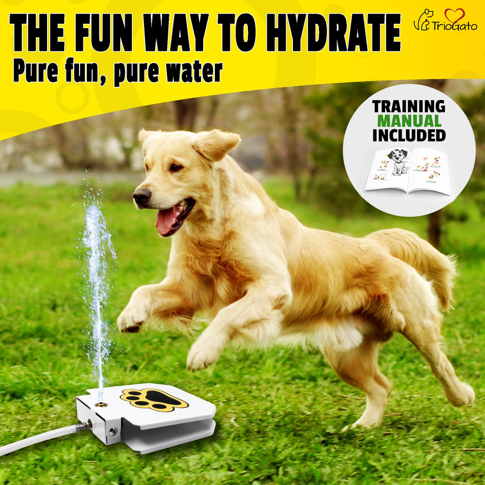 Trio Gato water fountain hose connection setup shows continuous outdoor water supply.