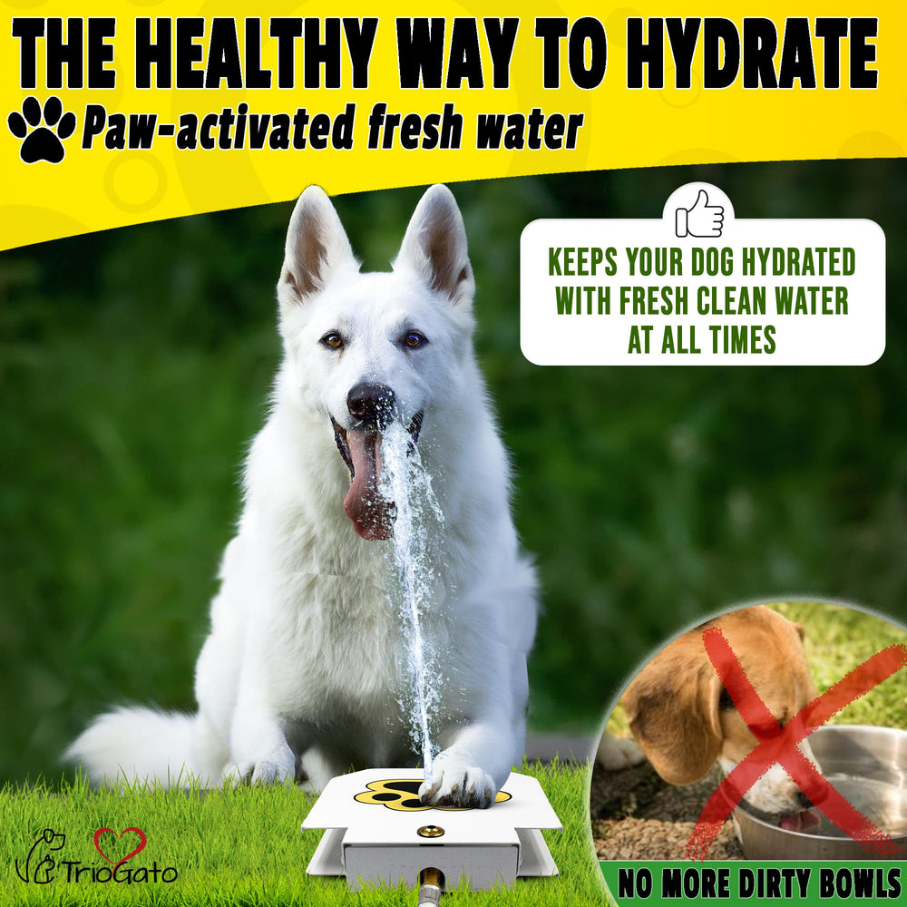 Trio Gato water fountain pedal activation demonstrates easy-access hydration for dogs.