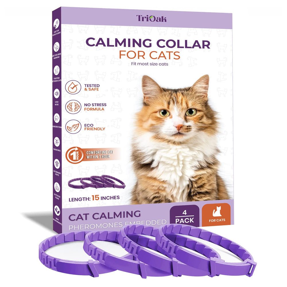 TriOak calming collar worn by cat for a relaxed day at home