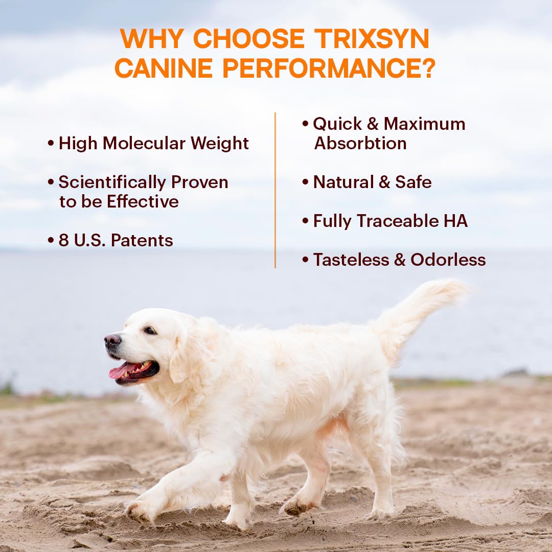 TRIXSYN Canine Performance liquid drops for easy dosing and mobility support