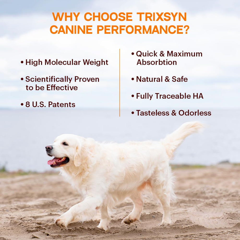 TRIXSYN Canine Performance liquid drops for easy dosing and mobility support
