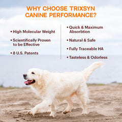 TRIXSYN Canine Performance liquid drops for easy dosing and mobility support