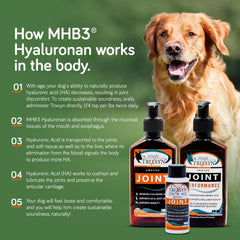 TRIXSYN Canine senior-dog-use scene shows easy integration into daily care.