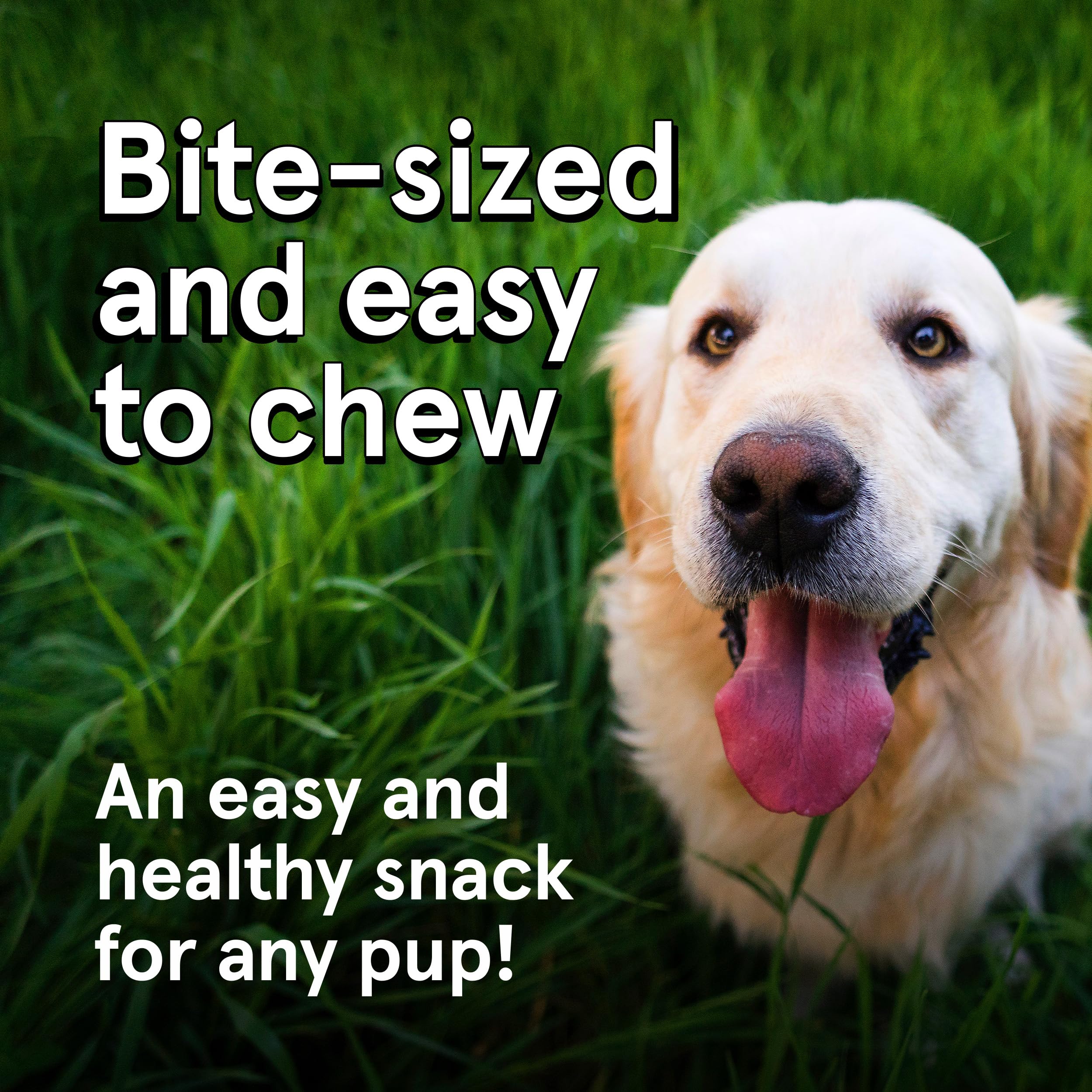 TRMC Air-dried treats texture closeup preserves nutrients and bold flavor.