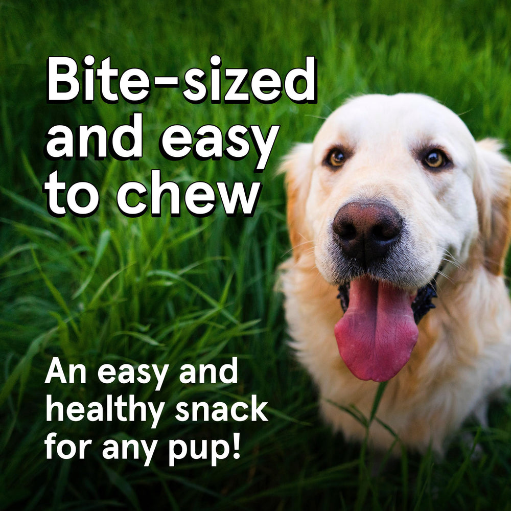 TRMC Air-dried treats texture closeup preserves nutrients and bold flavor.