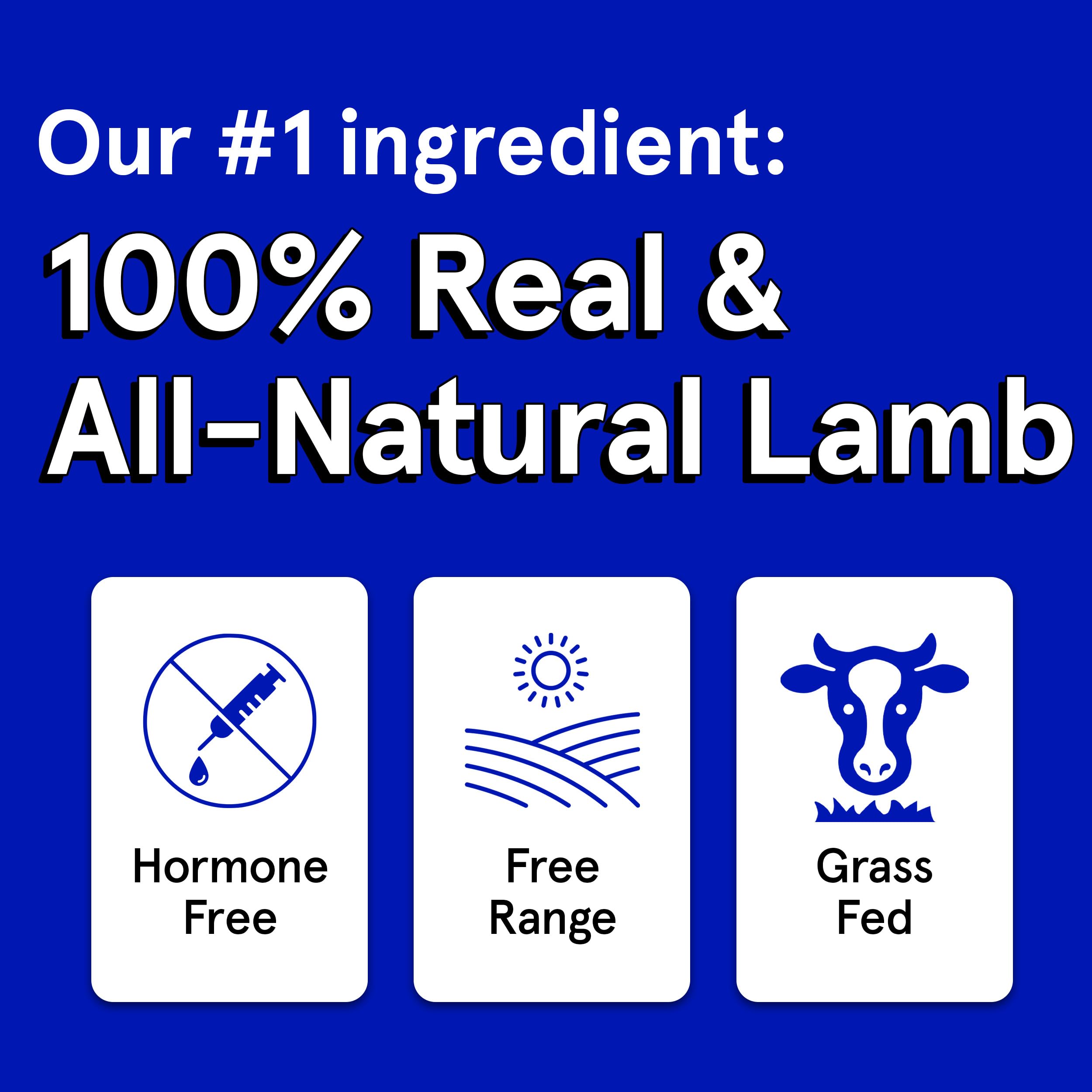 TRMC Bite-sized lamb jerky pieces offer quick, portable rewards during walks.