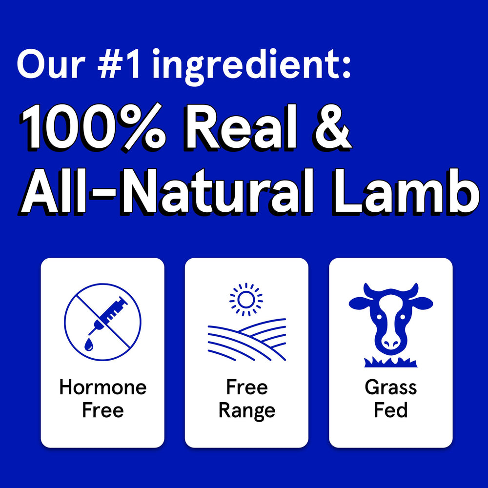 TRMC Bite-sized lamb jerky pieces offer quick, portable rewards during walks.