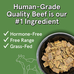 TRMC real-meat air-dried dog food bowl close-up emphasizing grain-free, tummy-friendly texture