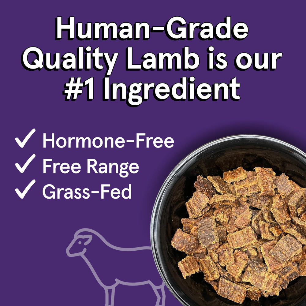 TRMC Real Meat Air-Dried Lamb Bites highlight convenient bite-sized meals